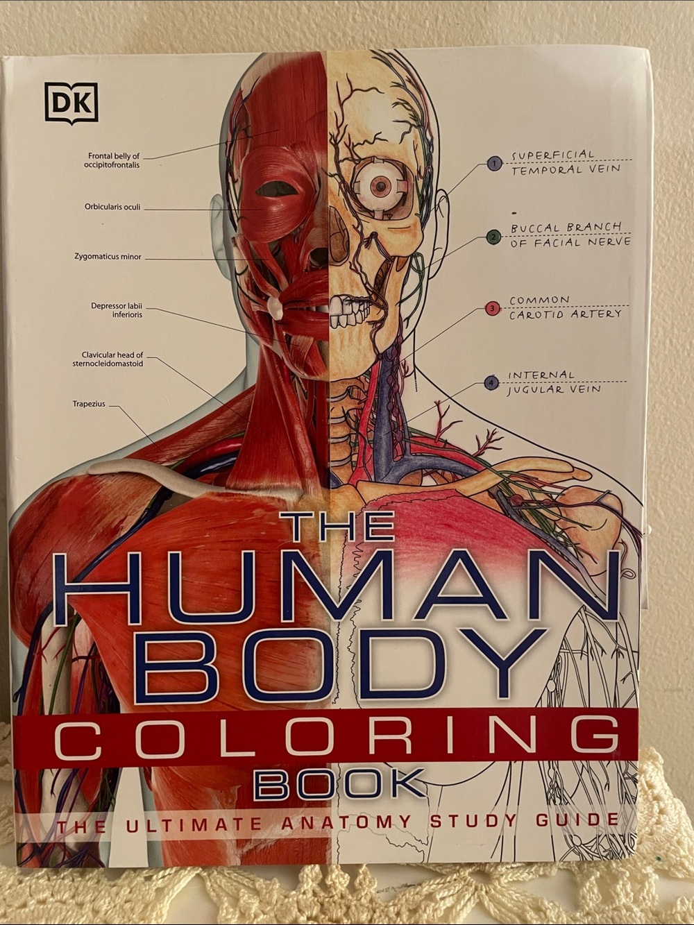 The Human Body Coloring Book - Red/White Cover